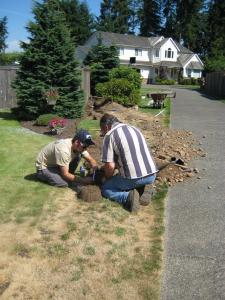 an irrigation team installs a new line